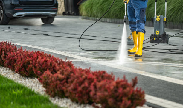 Best Solar Panel Cleaning  in Cornelius, NC